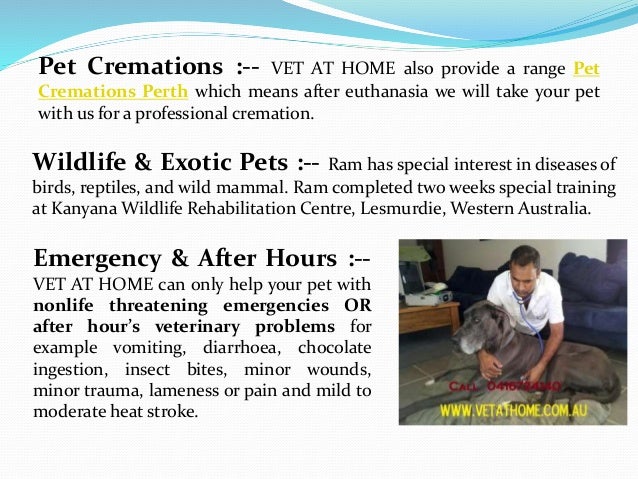 Vet At Home Perth Mobile Veterinary Services