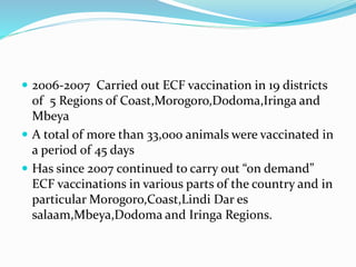 Experience and scaling up ECF immunization delivery in Tanzania 
