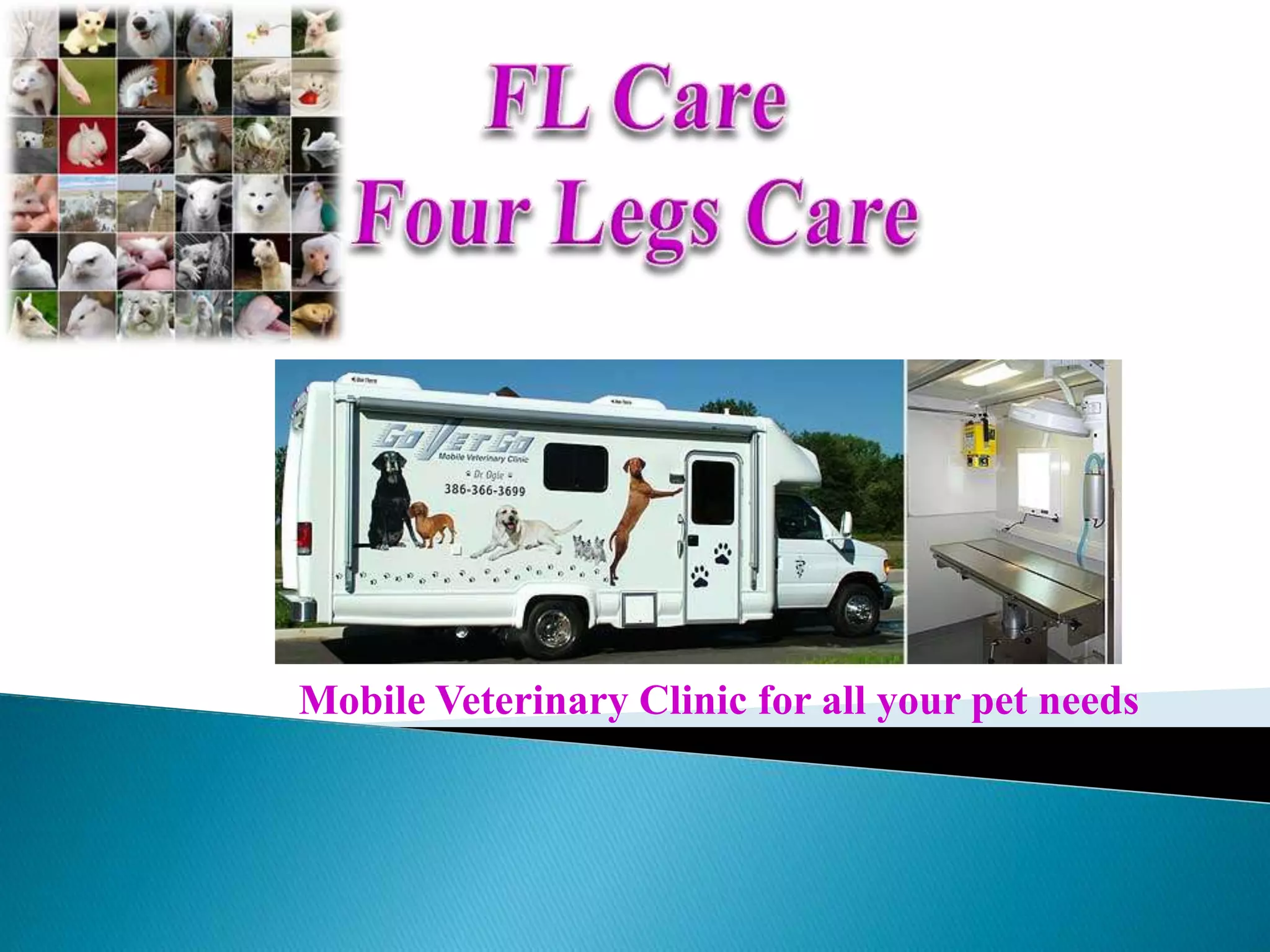 Mobile Veterinary Clinic for all your pet needs