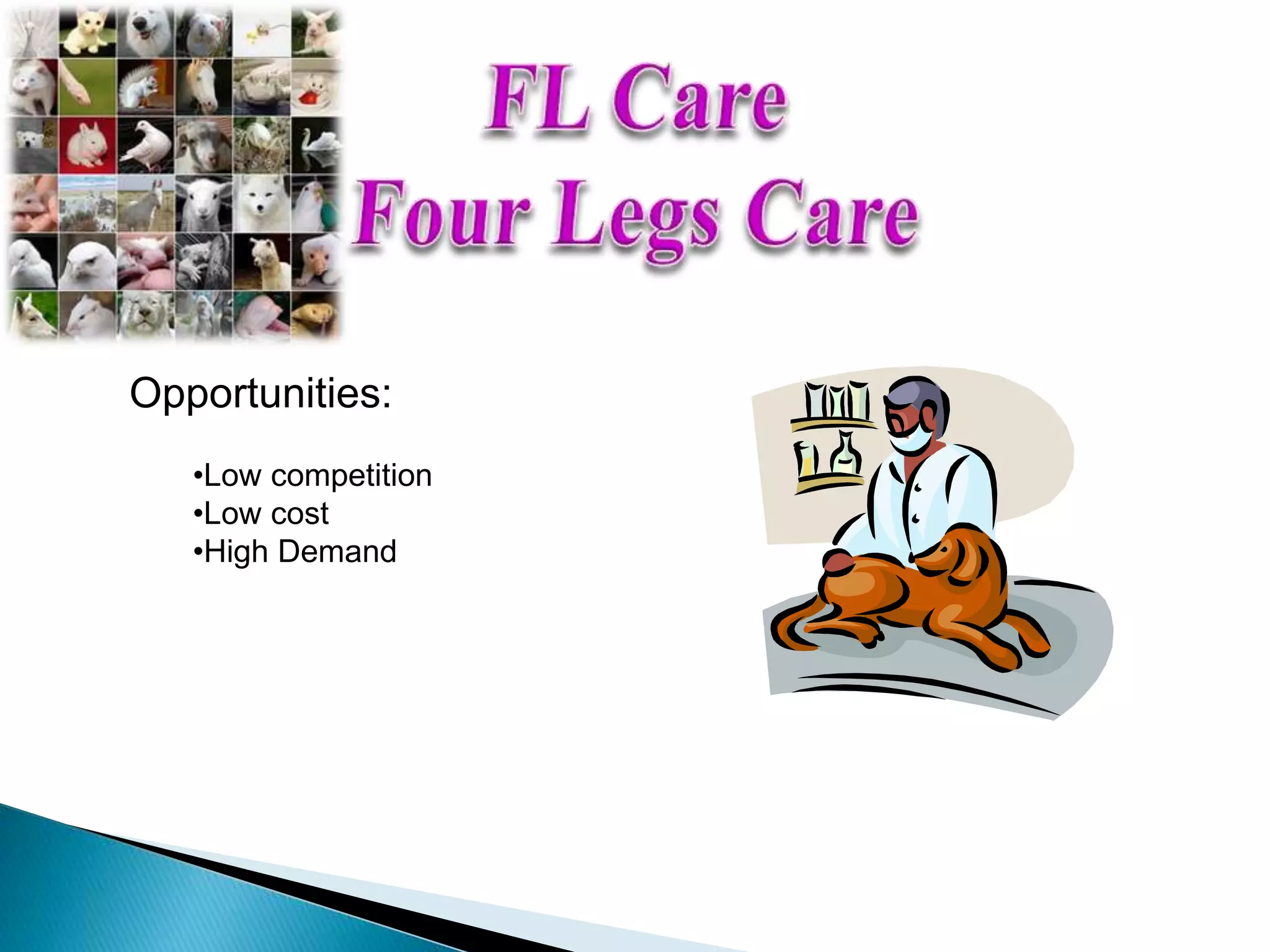 Opportunities:
•Low competition
•Low cost
•High Demand