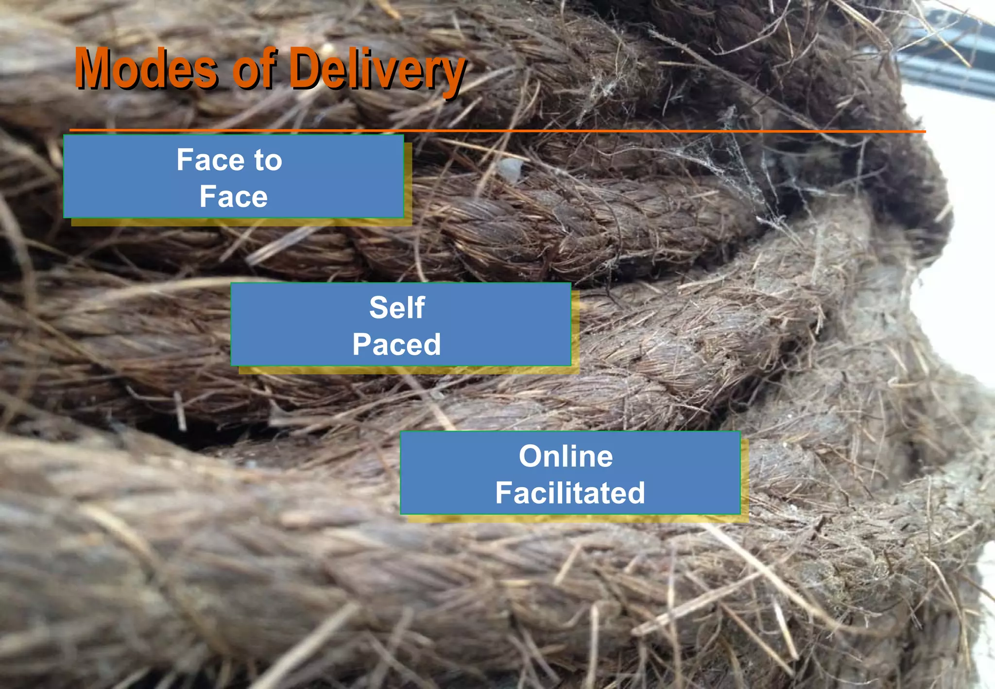 Face to
Face
Face to
Face
Self
Paced
Self
Paced
Online
Facilitated
Online
Facilitated
Modes of DeliveryModes of Delivery
 