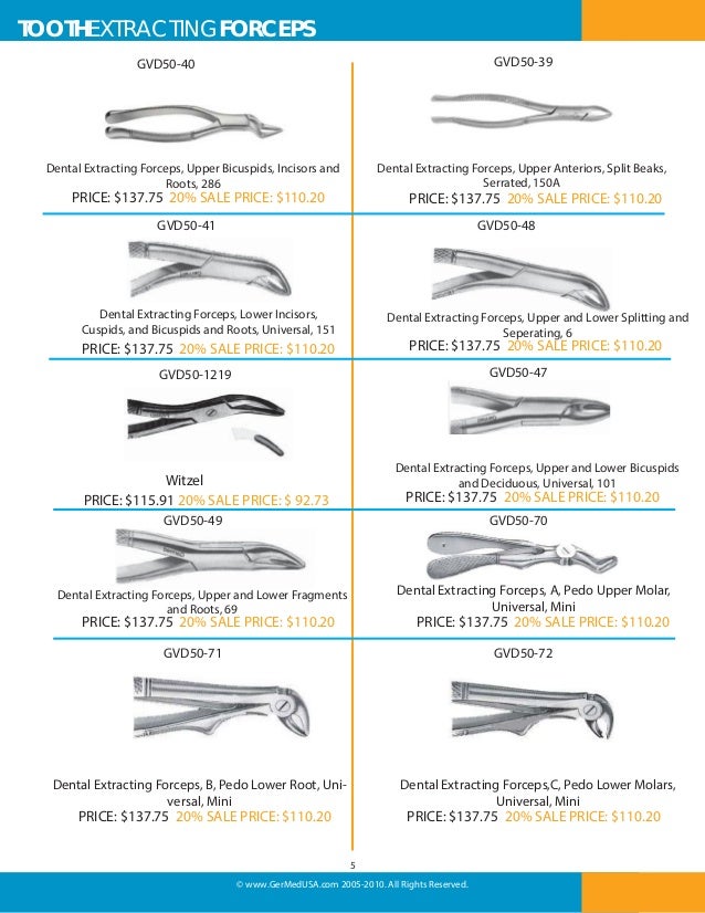 Veterinary Dental Instruments flyer surgical instruments from GermedU…