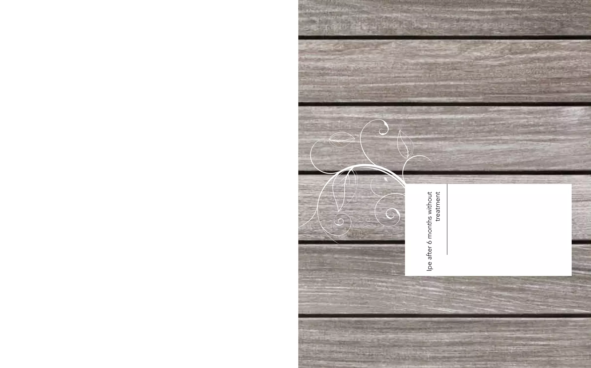 Ipe after 6 months without
                treatment
 