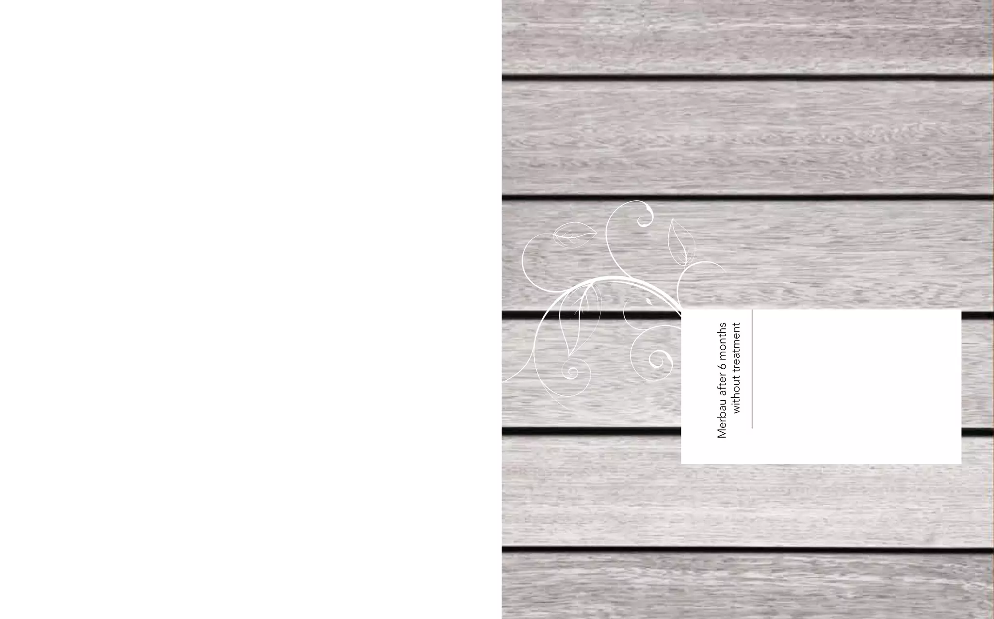 Merbau after 6 months
    without treatment
 