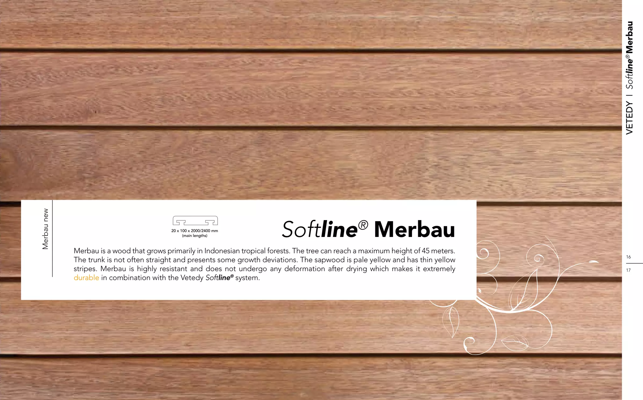 Vetedy    I    Softline® Merbau
Merbau new




                                           20 x 100 x 2000/2400 mm
                                                 (main lengths)              Softline® Merbau
             Merbau is a wood that grows primarily in Indonesian tropical forests. The tree can reach a maximum height of 45 meters.
                                                                                                                                            16
             The trunk is not often straight and presents some growth deviations. The sapwood is pale yellow and has thin yellow
             stripes. Merbau is highly resistant and does not undergo any deformation after drying which makes it extremely                 17
             durable in combination with the Vetedy Softline® system.
 