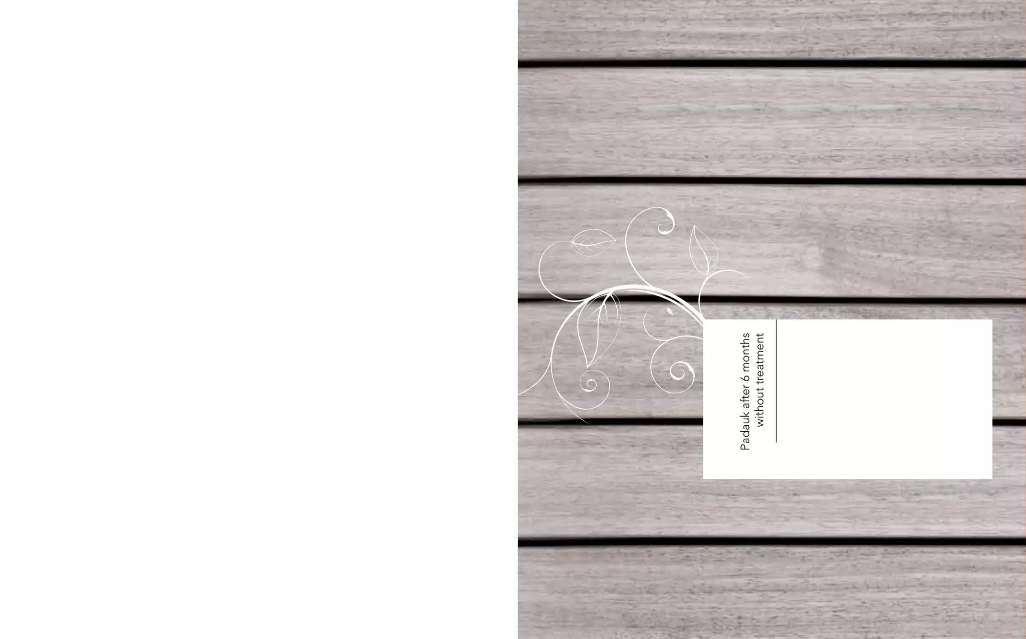 Padauk after 6 months
    without treatment
 