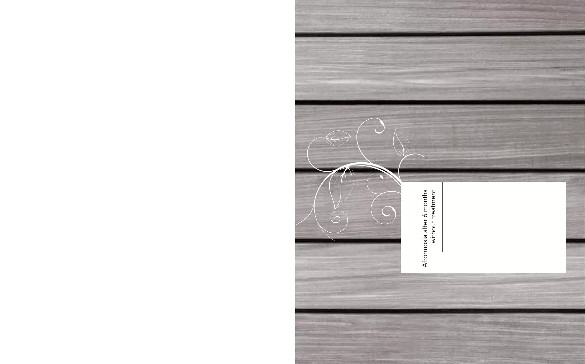 Afrormosia after 6 months
       without treatment
 