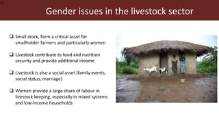 Malawi veterinary students’ training in equity, gender and empowerment