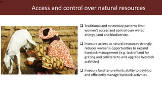 Malawi veterinary students’ training in equity, gender and empowerment