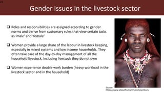 Malawi veterinary students’ training in equity, gender and empowerment