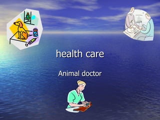 health care Animal doctor 