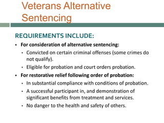 Veterans In Criminal Justice