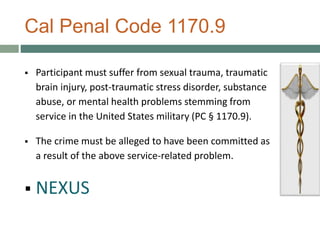 Veterans In Criminal Justice