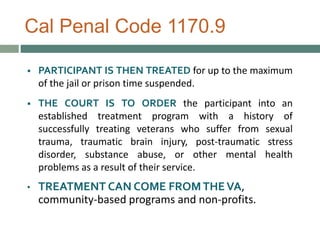 Veterans In Criminal Justice