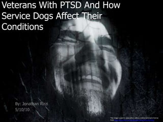 Veterans With PTSD And How Service Dogs Affect Their Conditions  By: Jonathan Rizzi 5/10/10  This image is used in association with a creative commons license from http://www.flickr.com/photos/truthout/4151422400/.  