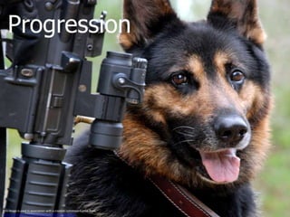 ProgressionThis image is used in association with a creative commons license from http://www.flickr.com/photos/walkadog/3575282130/. 