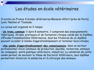 Les études en école vétérinaires Il existe en France 4 écoles vétérinaires:Maisons-Alfort (près de Paris); Lyon; Nantes et Toulouse. Le cursus est organisé en 2 temps: -  Un tronc commun : il dure 8 semestre, il comprend des enseignements théoriques, dirigés, pratiques et de formation clinique validé par le Diplôme d’Études Fondamentales Vétérinaires. Seul les titulaires de ce diplôme peuvent accéder à l’année d’approfondissement et terminer leurs études. -  Une année d’approfondissement des connaissances : dans un secteur professionnel choisi (animaux de production, équidés, recherche, animaux de compagnie, santé publique vétérinaire, industrie). La validation de cette année permet de soutenir la thèse de Doctorat Vétérinaire, seul diplôme permettant d’exercer la médecine et la chirurgie des animaux.  