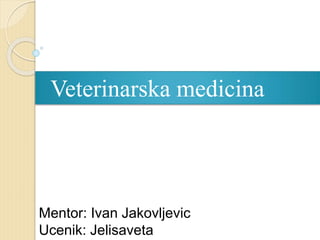 Veterinarska medicina
Mentor: Ivan Jakovljevic
Ucenik: Jelisaveta
 
