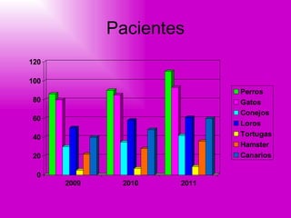 Pacientes 