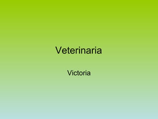 Veterinaria Victoria 