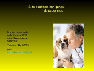 Nos encontras en la calle Jamaica 3702 entre Guatemala  y Colombia  Teléfono :4441-0524 Msn :  [email_address] Si te quedaste con ganas de saber mas  