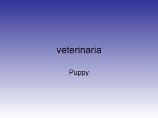 veterinaria Puppy 