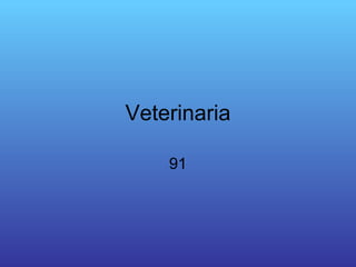 Veterinaria 91 