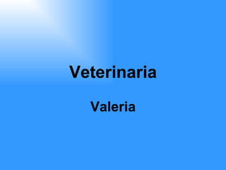 Veterinaria Valeria 