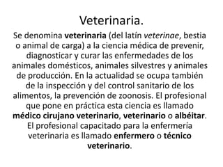 Veterinaria.
Se denomina veterinaria (del latín veterinae, bestia
o animal de carga) a la ciencia médica de prevenir,
diagnosticar y curar las enfermedades de los
animales domésticos, animales silvestres y animales
de producción. En la actualidad se ocupa también
de la inspección y del control sanitario de los
alimentos, la prevención de zoonosis. El profesional
que pone en práctica esta ciencia es llamado
médico cirujano veterinario, veterinario o albéitar.
El profesional capacitado para la enfermería
veterinaria es llamado enfermero o técnico
veterinario.

 