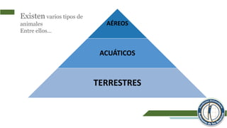 AÉREOS
ACUÁTICOS
TERRESTRES
Existen varios tipos de
animales
Entre ellos…
 