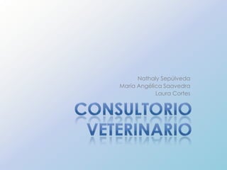 Nathaly Sepúlveda María Angélica Saavedra  Laura Cortes Consultorio Veterinario 