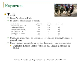 Esportes Turfe Raça: Puro Sangue Inglês Diferentes modalidades de apostas Premiação em dinheiro ao apostador, proprietário, criador, treinador e para o Jockey Brasil – grande exportador de cavalos de corrida – Cria mercado ativo Mercados: Estados Unidos, África do Sul, Uruguai e Emirado de Dubai   