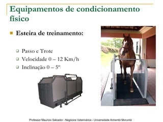 Equipamentos de condicionamento físico Esteira de treinamento: Passo e Trote Velocidade 0 – 12 Km/h Inclinação 0 – 5º 