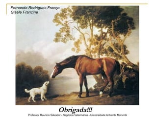 Obrigada!!! Fernanda Rodrigues França Gisele Francine 