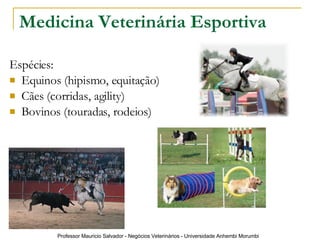 Medicina Veterinária Esportiva Espécies: Equinos (hipismo, equitação) Cães (corridas, agility) Bovinos (touradas, rodeios) 