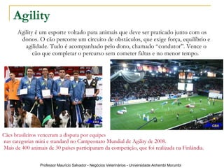 Agility Agility é um esporte voltado para animais que deve ser praticado junto com os donos. O cão percorre um circuito de obstáculos, que exige força, equilíbrio e agilidade. Tudo é acompanhado pelo dono, chamado “condutor”. Vence o cão que completar o percurso sem cometer faltas e no menor tempo.  Cães brasileiros venceram a disputa por equipes nas categorias mini e standard no Campeonato Mundial de Agility de 2008. Mais de 400 animais de 30 países participaram da competição, que foi realizada na Finlândia.   
