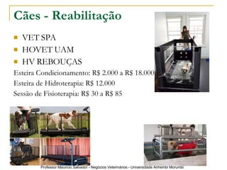 Cães - Reabilitação VET SPA HOVET UAM HV REBOUÇAS Esteira Condicionamento: R$ 2.000 a R$ 18.000 Esteira de Hidroterapia: R$ 12.000 Sessão de Fisioterapia: R$ 30 a R$ 85 