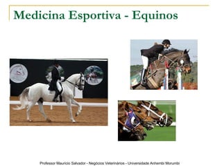 Medicina Esportiva - Equinos 