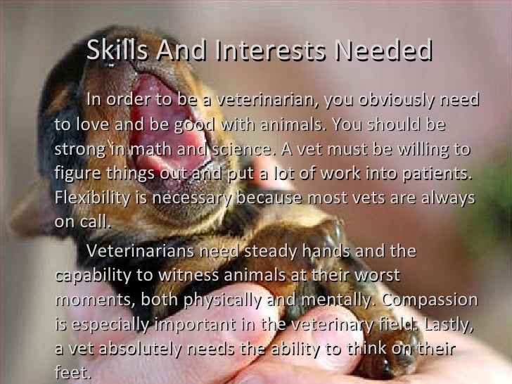 what does it mean to vet someone what does it mean to vet someone