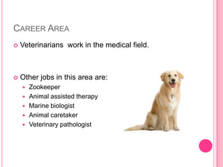 Career AreaVeterinarians  work in the medical field.Other jobs in this area are:ZookeeperAnimal assisted therapyMarine biologist Animal caretakerVeterinary pathologist