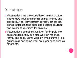 DescriptionVeterinarians are also considered animal doctors. They study, treat, and control animal injuries and diseases. Also, they perform surgery, set broken bones, establish food diets and exercise routines, and prescribe medicine for animals. Veterinarians do not just work on family pets like cats and dogs, they can also work on ranches, farms, and zoos. Some work on small animals like guinea pigs and some work on larger ones such as elephants.