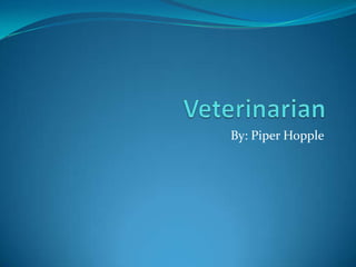 Veterinarian By: Piper Hopple 