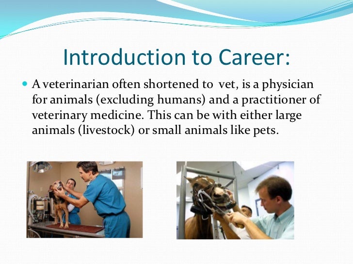 veterinarian powerpoint