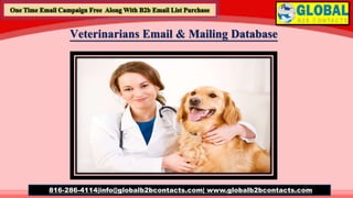 Veterinarians Email & Mailing Database
816-286-4114|info@globalb2bcontacts.com| www.globalb2bcontacts.com
 