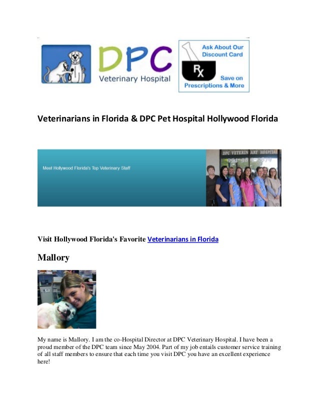 Veterinarians in Florida & DPC Pet Hospital Hollywood Florida