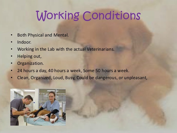 what is a veterinary technician