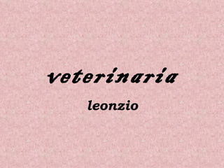 veterinaria leonzio 
