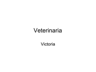 Veterinaria Victoria 