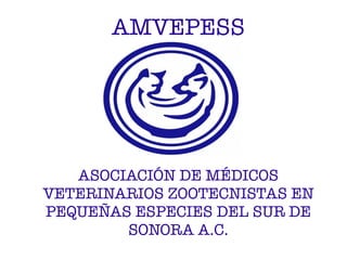 ASOCIACIÓN DE MÉDICOS
VETERINARIOS ZOOTECNISTAS EN
PEQUEÑAS ESPECIES DEL SUR DE
SONORA A.C.
AMVEPESS
 