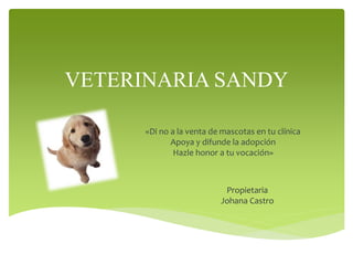 VETERINARIA SANDY
«Di no a la venta de mascotas en tu clínica
Apoya y difunde la adopción
Hazle honor a tu vocación»
Propietaria
Johana Castro
 
